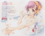 BUY NEW strawberry panic! - 114230 Premium Anime Print Poster
