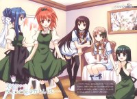 BUY NEW strawberry panic! - 128345 Premium Anime Print Poster