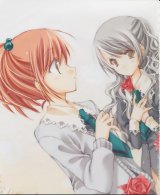 BUY NEW strawberry panic! - 128390 Premium Anime Print Poster