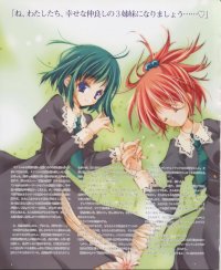 BUY NEW strawberry panic! - 128956 Premium Anime Print Poster