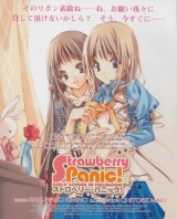 BUY NEW strawberry panic! - 128958 Premium Anime Print Poster
