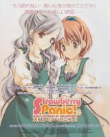 BUY NEW strawberry panic! - 129388 Premium Anime Print Poster