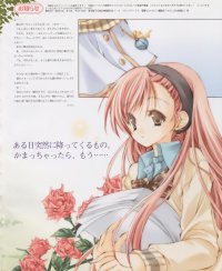 BUY NEW strawberry panic! - 129390 Premium Anime Print Poster