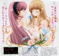BUY NEW strawberry panic! - 50863 Premium Anime Print Poster