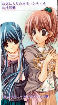 BUY NEW strawberry panic! - 50972 Premium Anime Print Poster