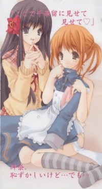 BUY NEW strawberry panic! - 52010 Premium Anime Print Poster