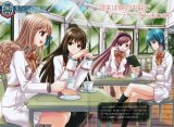 BUY NEW strawberry panic! - 68906 Premium Anime Print Poster