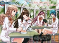 BUY NEW strawberry panic! - 68906 Premium Anime Print Poster