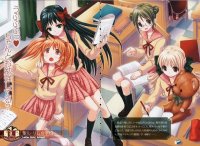 BUY NEW strawberry panic! - 69646 Premium Anime Print Poster