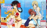 BUY NEW strawberry panic! - 82488 Premium Anime Print Poster