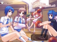 BUY NEW strawberry panic! - 89821 Premium Anime Print Poster