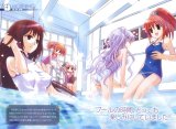 BUY NEW strawberry panic! - 92294 Premium Anime Print Poster