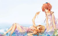 BUY NEW strawberry panic! - 92726 Premium Anime Print Poster