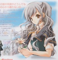 BUY NEW strawberry panic! - 93619 Premium Anime Print Poster