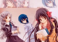 BUY NEW strawberry panic! - 96644 Premium Anime Print Poster