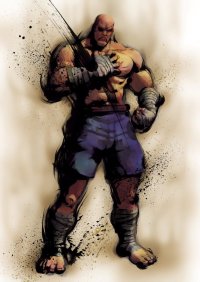 BUY NEW street fighter - 184632 Premium Anime Print Poster