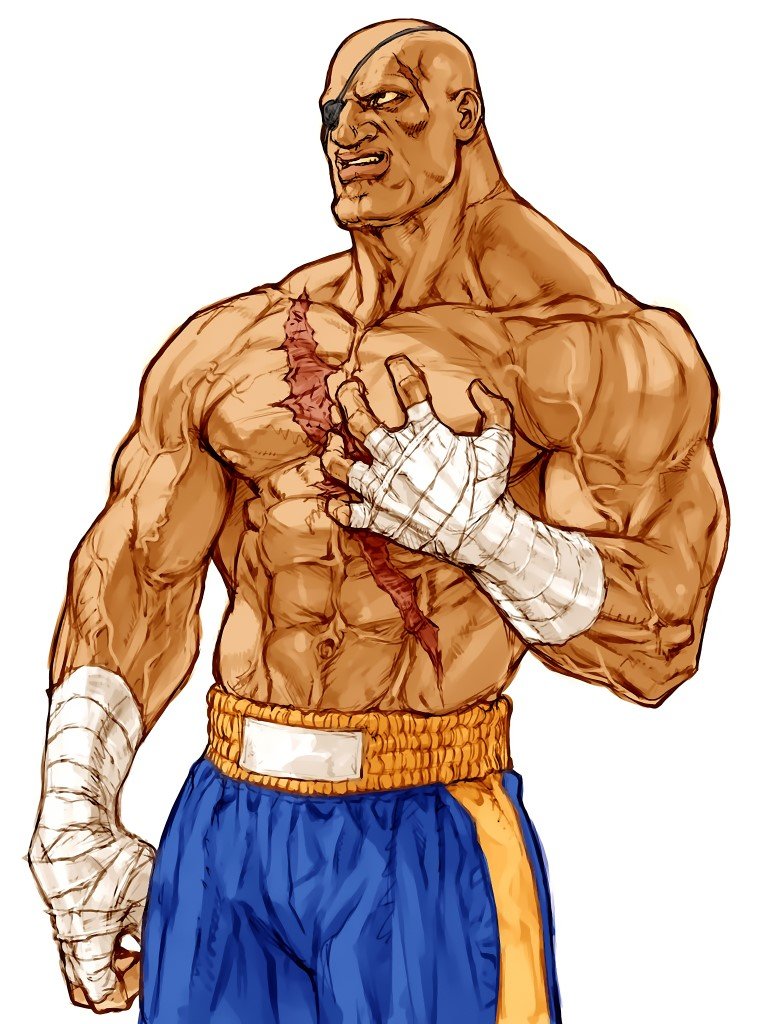 BUY NEW street fighter - 60255 Premium Anime Print Poster street fighter - 60257 image