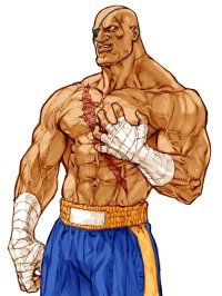 BUY NEW street fighter - 60255 Premium Anime Print Poster