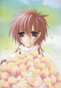BUY NEW sukisho - 45205 Premium Anime Print Poster
