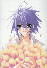 BUY NEW sukisho - 45206 Premium Anime Print Poster