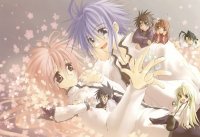 BUY NEW sukisho - 8514 Premium Anime Print Poster