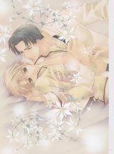 BUY NEW temari matsumoto - 20791 Premium Anime Print Poster
