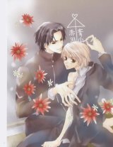 BUY NEW temari matsumoto - 20846 Premium Anime Print Poster