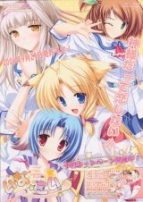 BUY NEW tenmaso - 164740 Premium Anime Print Poster