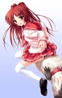BUY NEW tenmaso - 165468 Premium Anime Print Poster