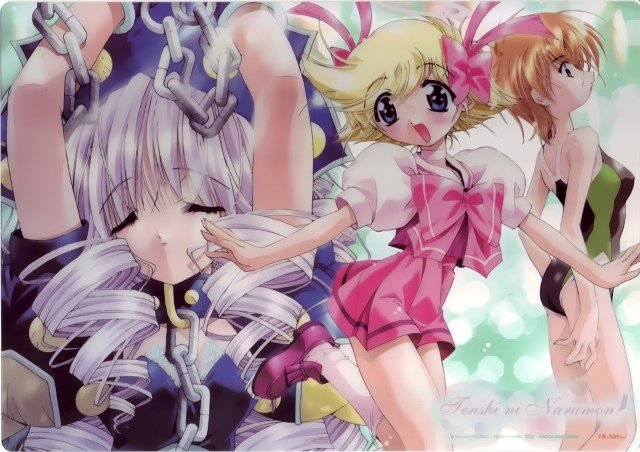 BUY NEW tenshi ni narumon - 176026 Premium Anime Print Poster tenshi ni narumon - 187530 image