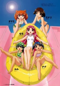 BUY NEW tenshi no shippo - 191888 Premium Anime Print Poster