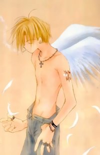 BUY NEW tenshi shukushi - 64868 Premium Anime Print Poster