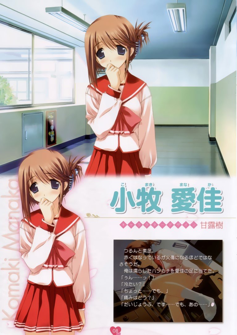BUY NEW to heart - 29516 Premium Anime Print Poster to heart - 29522 image