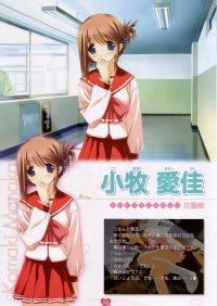 BUY NEW to heart - 29516 Premium Anime Print Poster