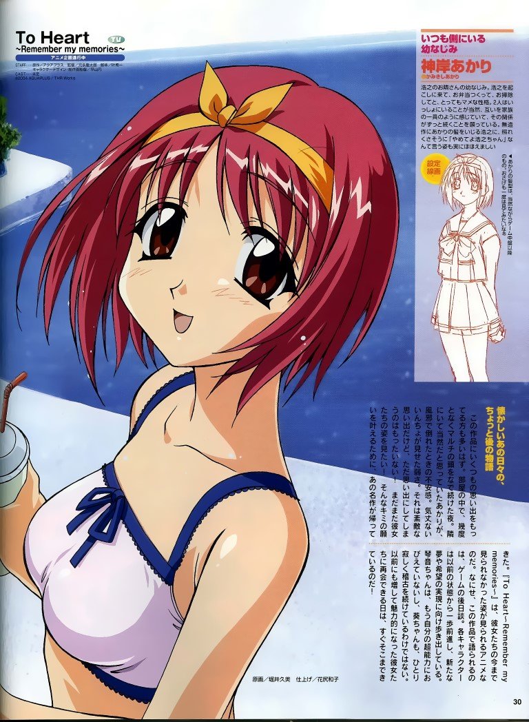 BUY NEW to heart - 58975 Premium Anime Print Poster to heart - 6116 image