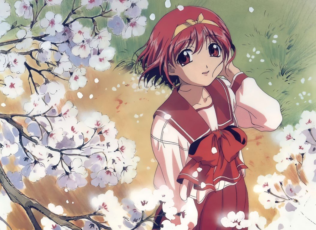 BUY NEW to heart - 7155 Premium Anime Print Poster to heart - 73627 image