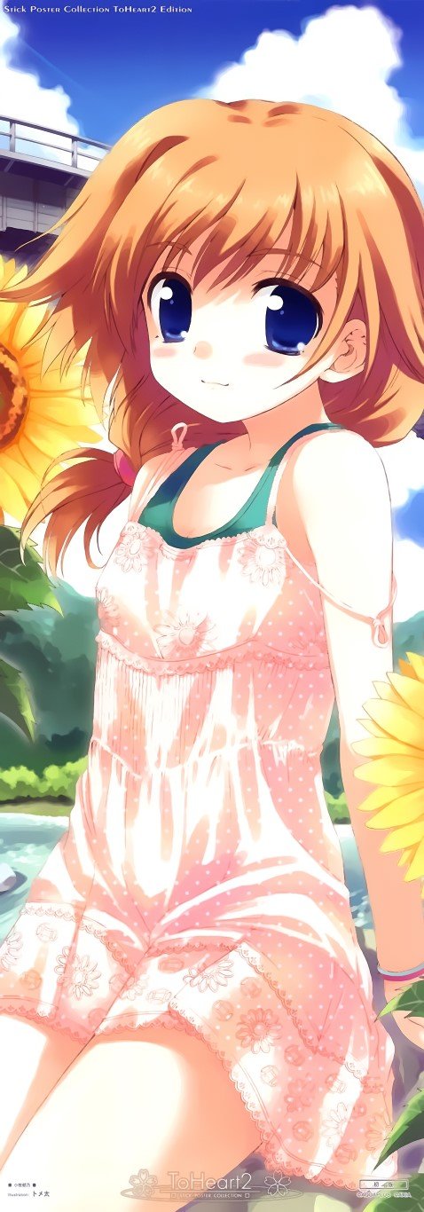 BUY NEW to heart - 85391 Premium Anime Print Poster to heart - 86137 image