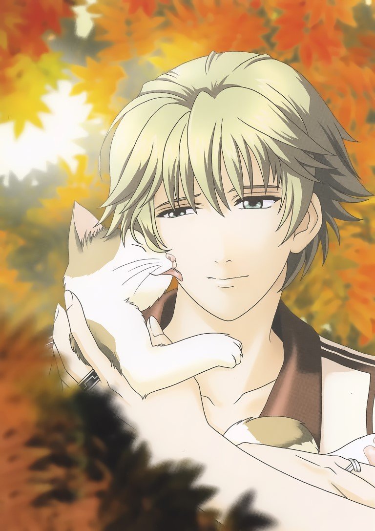 BUY NEW tokimeki memorial - 153116 Premium Anime Print Poster tokimeki memorial - 153272 image