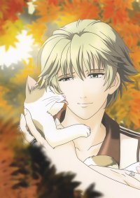 BUY NEW tokimeki memorial - 153116 Premium Anime Print Poster