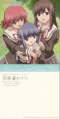 BUY NEW tokimeki memorial - 97138 Premium Anime Print Poster