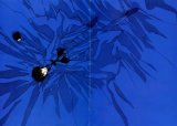BUY NEW tokyo babylon - 121605 Premium Anime Print Poster