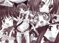 BUY NEW tokyo mew mew - 169874 Premium Anime Print Poster
