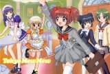 BUY NEW tokyo mew mew - 2777 Premium Anime Print Poster