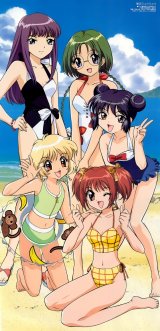 BUY NEW tokyo mew mew - 28602 Premium Anime Print Poster