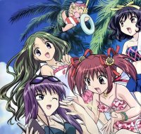BUY NEW tokyo mew mew - 4091 Premium Anime Print Poster