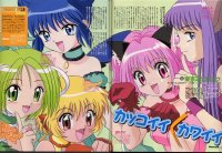 BUY NEW tokyo mew mew - 64420 Premium Anime Print Poster