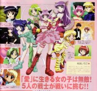 BUY NEW tokyo mew mew - 65274 Premium Anime Print Poster