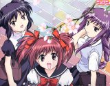 BUY NEW tokyo mew mew - 85605 Premium Anime Print Poster