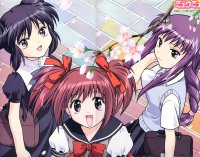 BUY NEW tokyo mew mew - 85605 Premium Anime Print Poster
