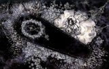 BUY NEW trinity blood - 68310 Premium Anime Print Poster